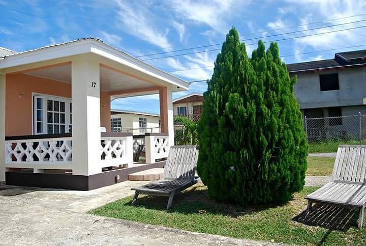 Sue'S Homestay Christchurch Eksteriør billede