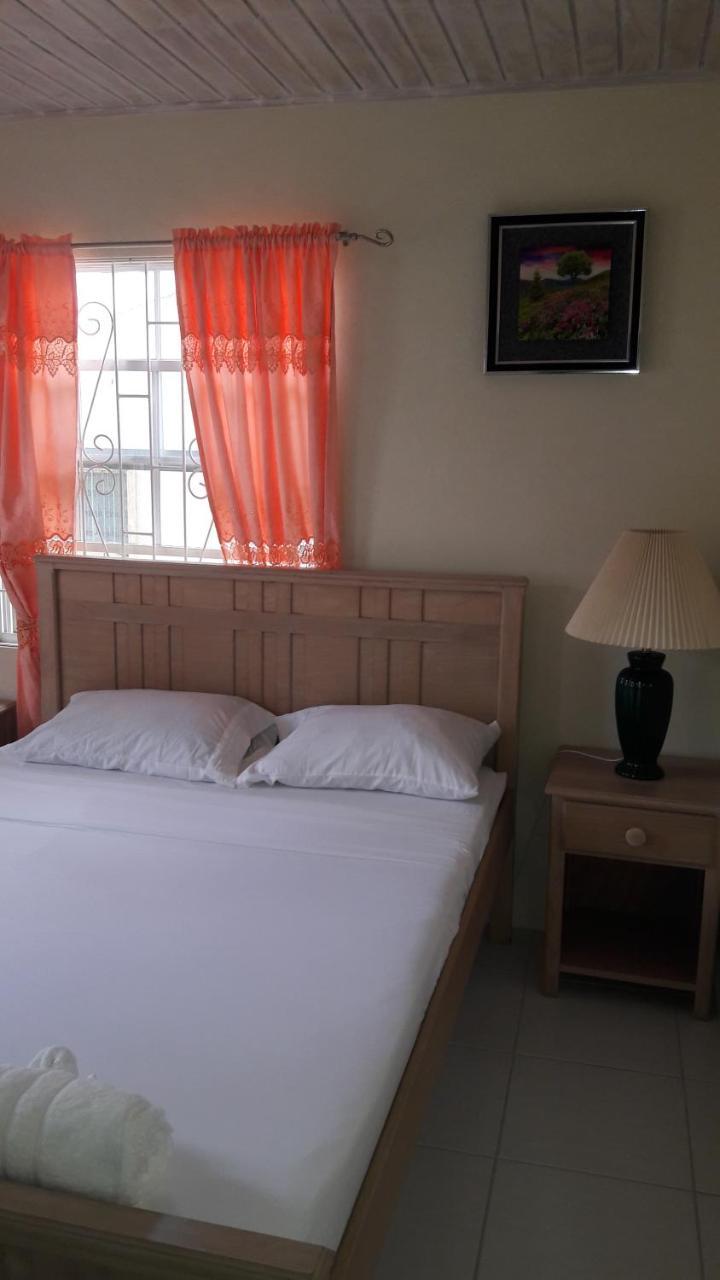 Sue'S Homestay Christchurch Eksteriør billede
